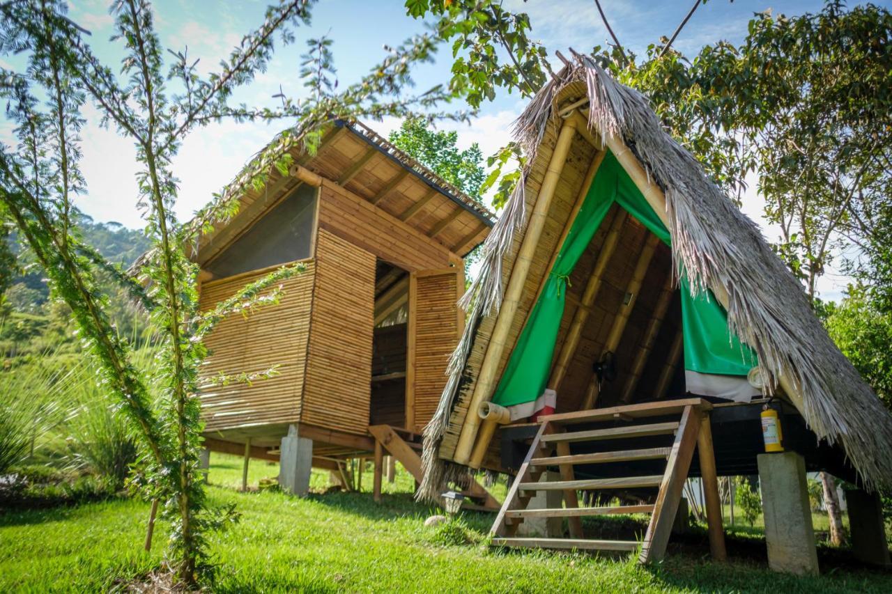 La Perla Negra - Black Pearl Eco Hostel San Rafael  Buitenkant foto
