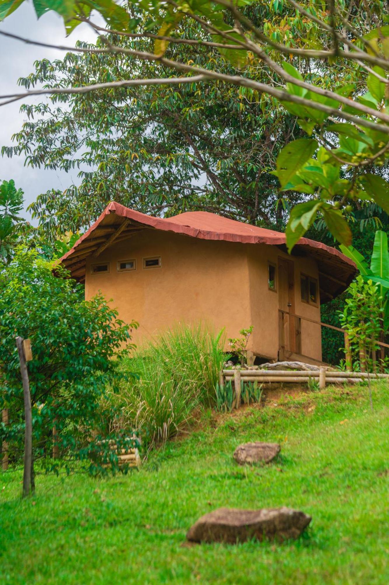 La Perla Negra - Black Pearl Eco Hostel San Rafael  Buitenkant foto